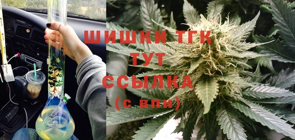 гидра Баксан