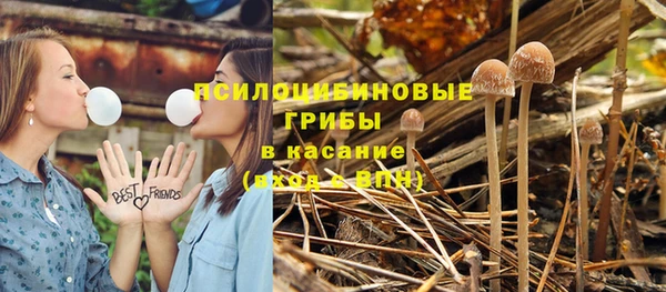 гидра Баксан