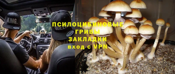 гидра Баксан